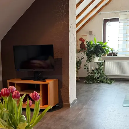 Apartment Zum Mühlbachtal Singhofen